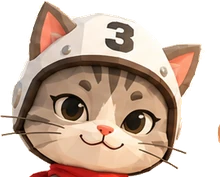 your driver, helmet on, looking at you